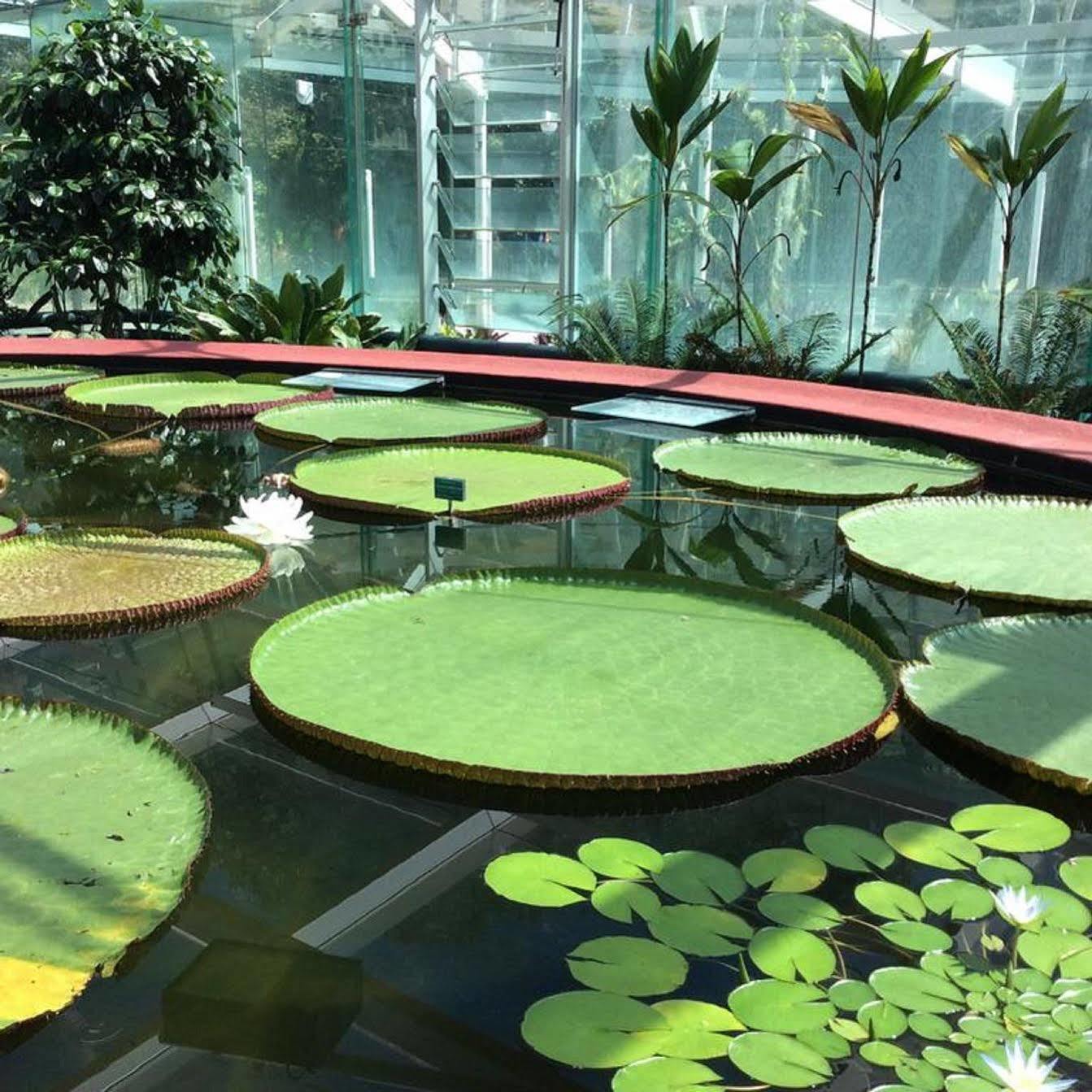 Majestic Minima Hotel Adelaide Ngoại thất bức ảnh